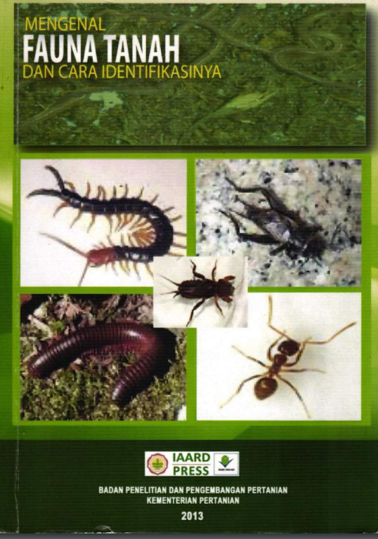 MENGENAL FAUNA TANAH DAN CARA IDENTIFIKASINYA